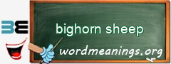WordMeaning blackboard for bighorn sheep